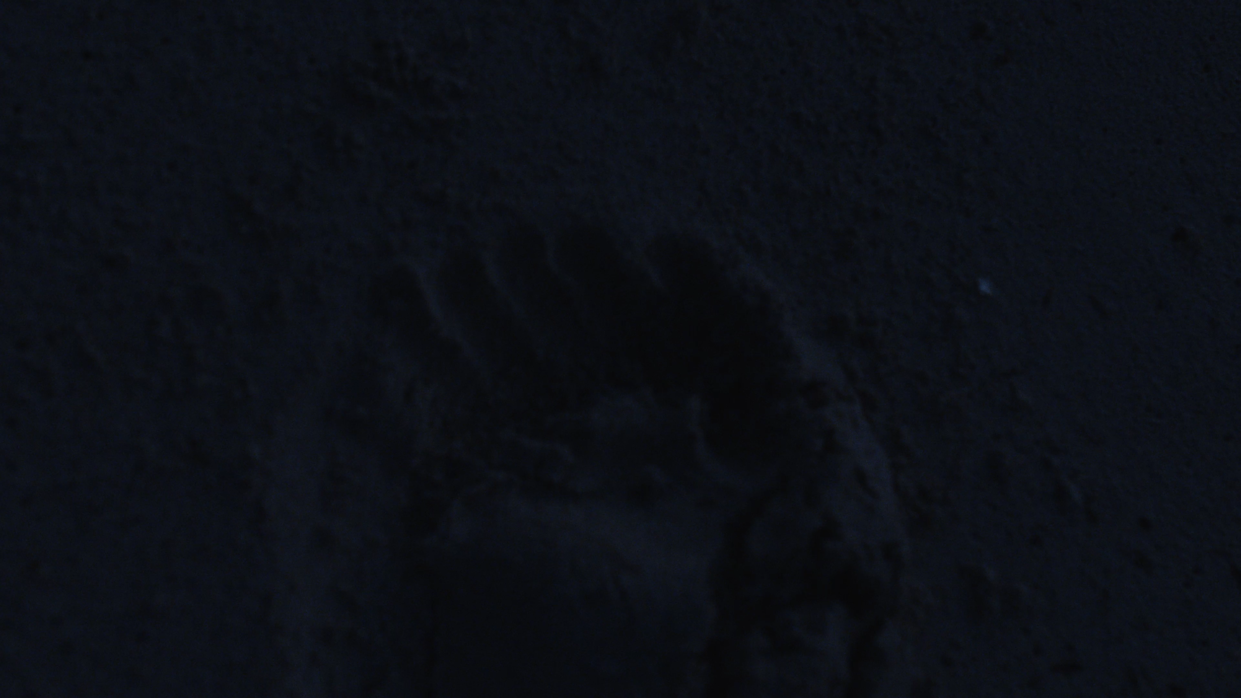 screenshots.00_00_20_02.Still040.png