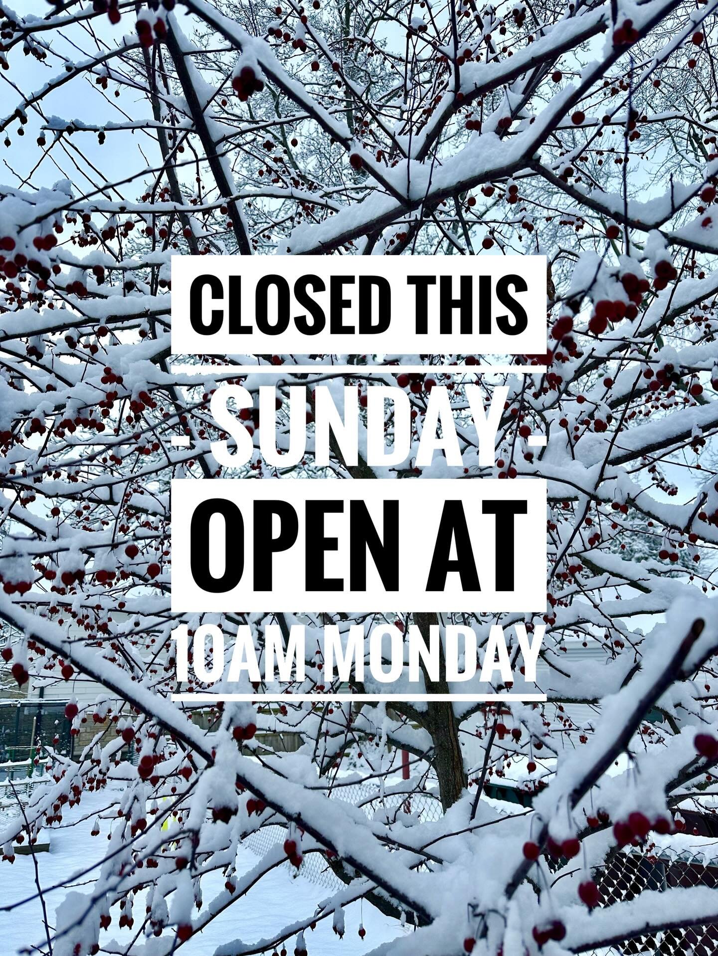 Out of an over abundance of caution, we decided to close the shop tomorrow (Sunday 1/25) and then open late, at 10am, on Monday. 

We&rsquo;ll keep ya updated if Monday hours change &mdash; be careful out there and enjoy whatever comes ❄️❄️❄️