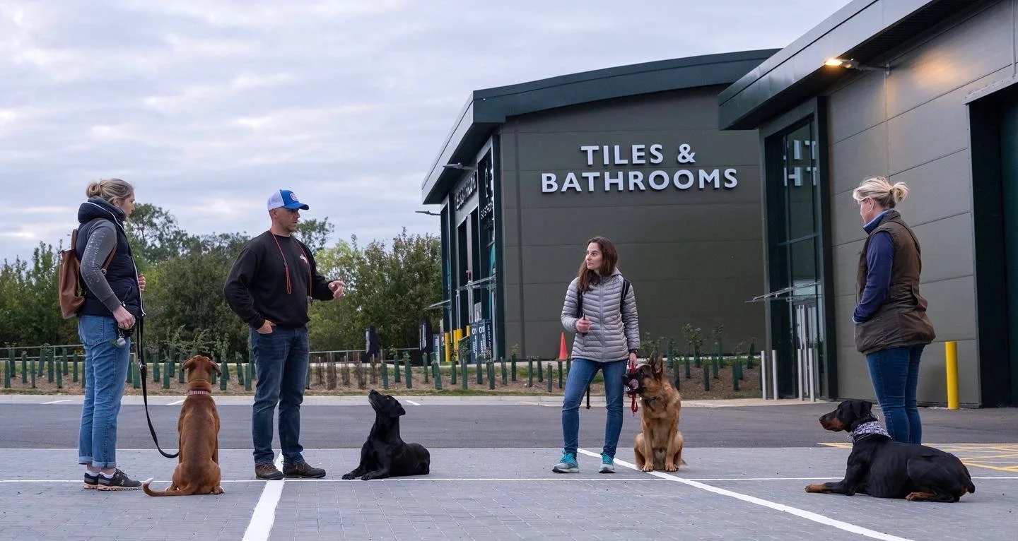 dog trainer in Oakham