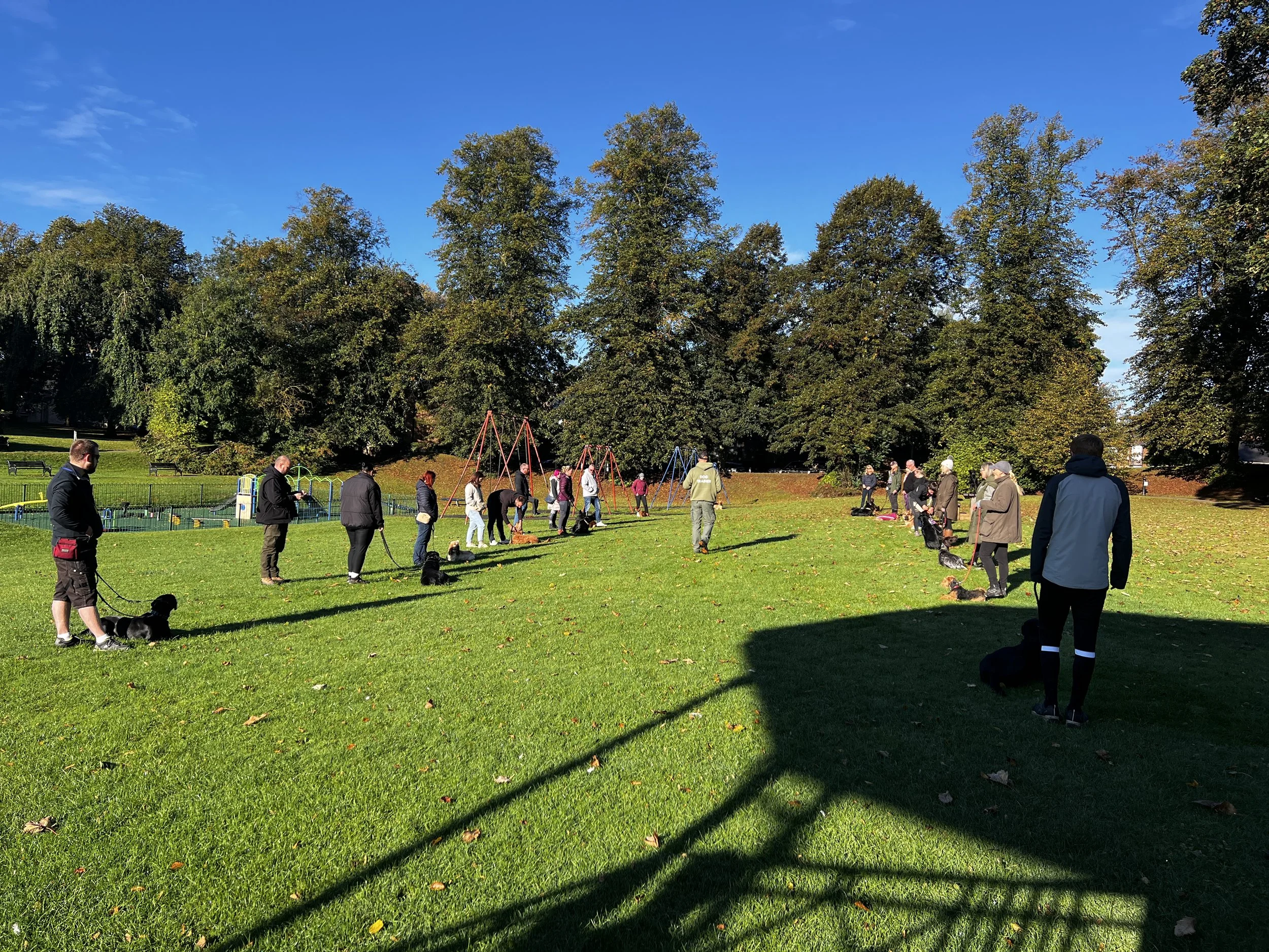 dog training in Oakham park