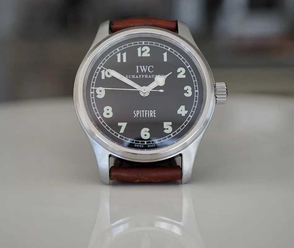 081726IWCSpitBrtd.JPG