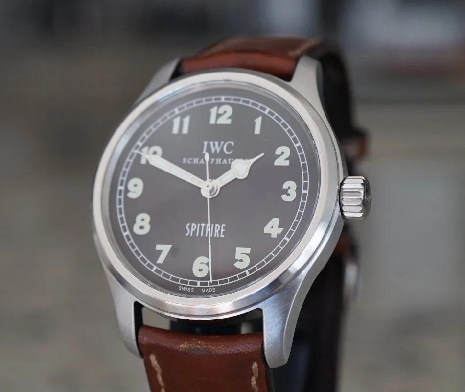 081726IWCSpitBrtc.JPG