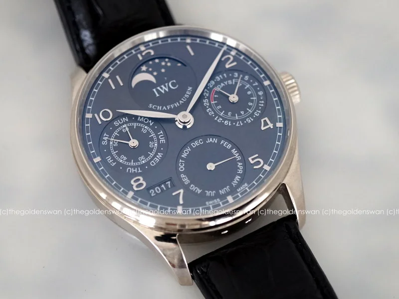 03102017IWC5022d.jpg