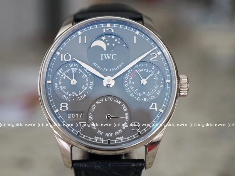 03102017IWC5022e.jpg