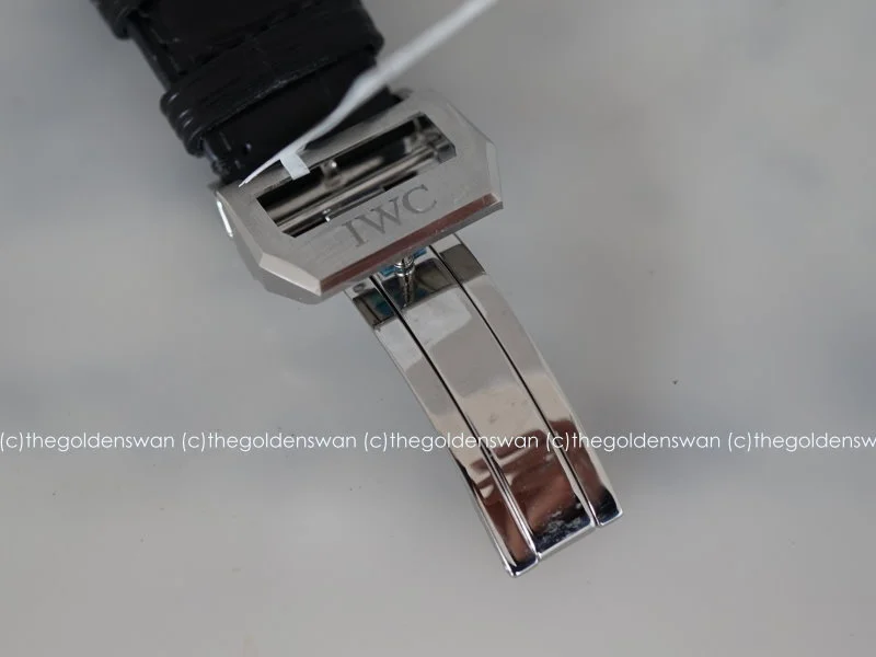 11172017IWCStExpDoppelg.jpg