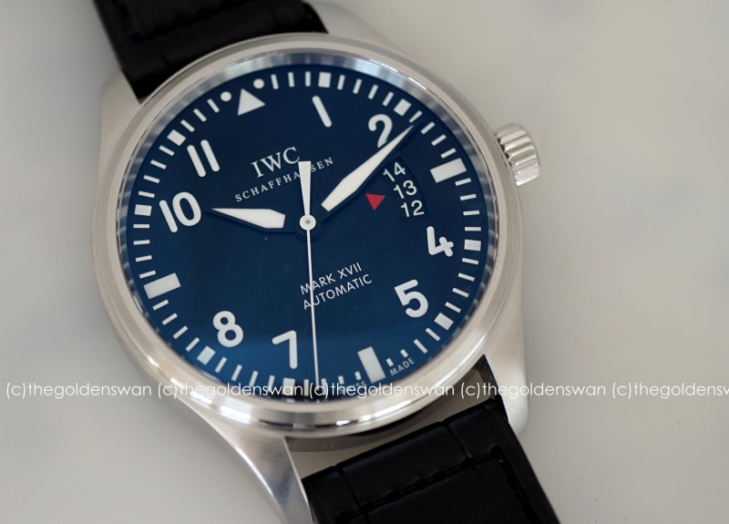 09012017IWCmark17a.jpg