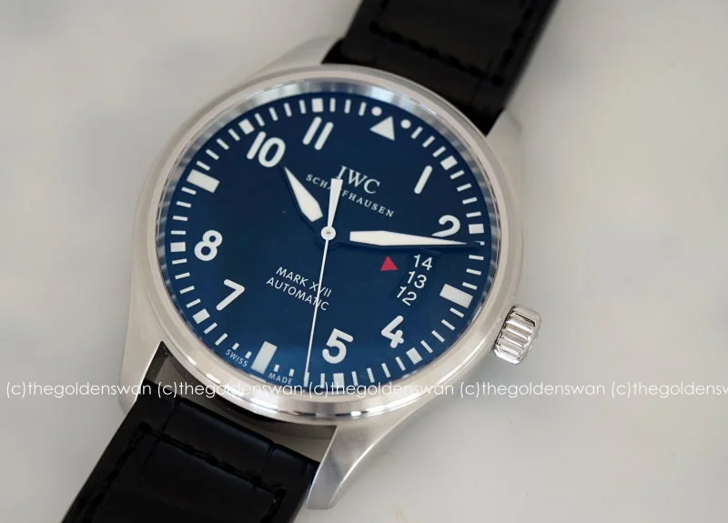 09012017IWCmark17b.jpg