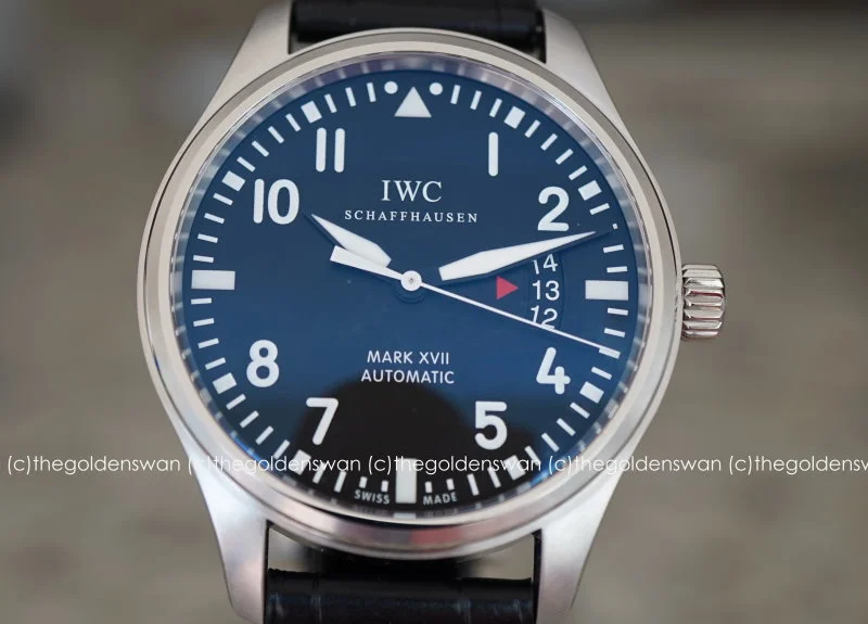 09012017IWCmark17d.jpg