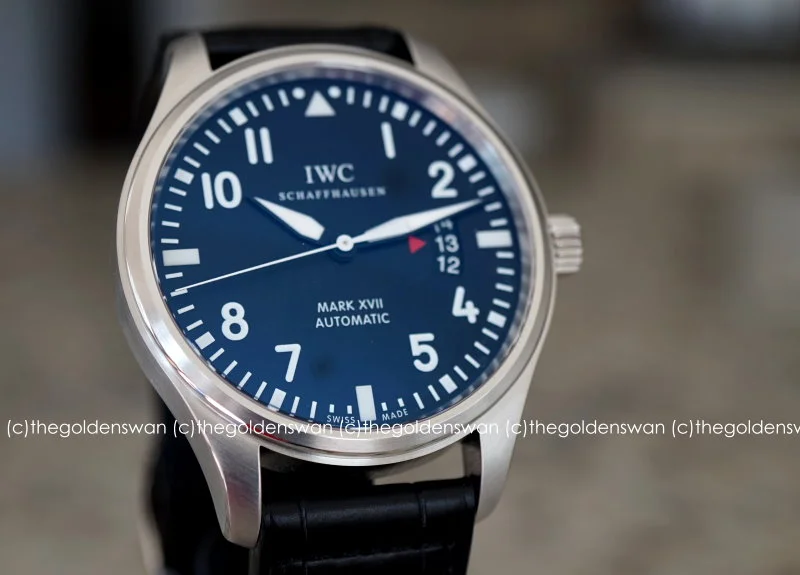 09012017IWCmark17c.jpg