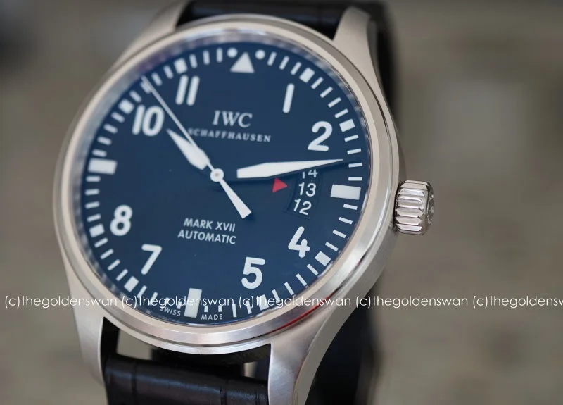 09012017IWCmark17e.jpg