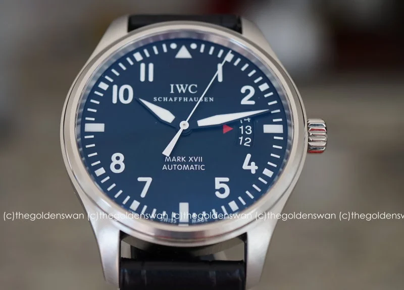 09012017IWCmark17g.jpg