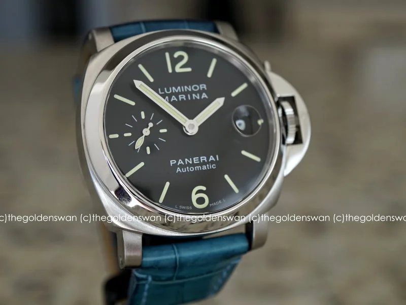 03092019PAM48c.jpg