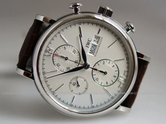01052015IWC3910silverf.jpg
