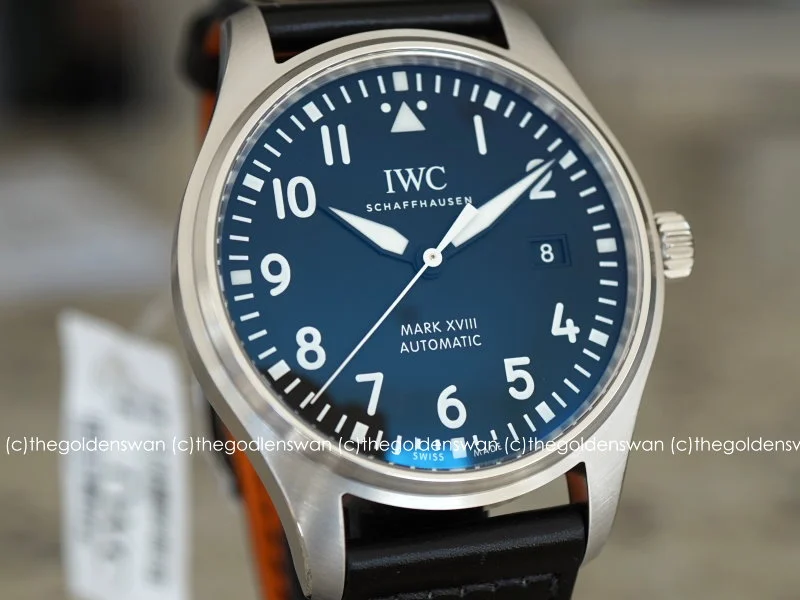 01072018IWCMark18c.jpg