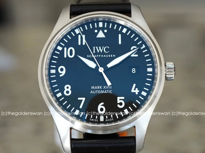 01072018IWCMark18d.jpg