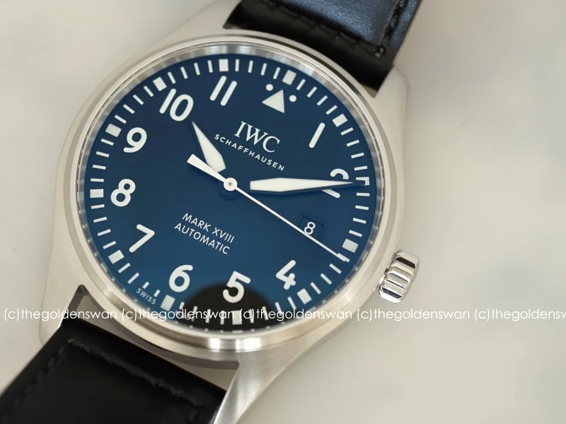 01072018IWCMark18e.jpg
