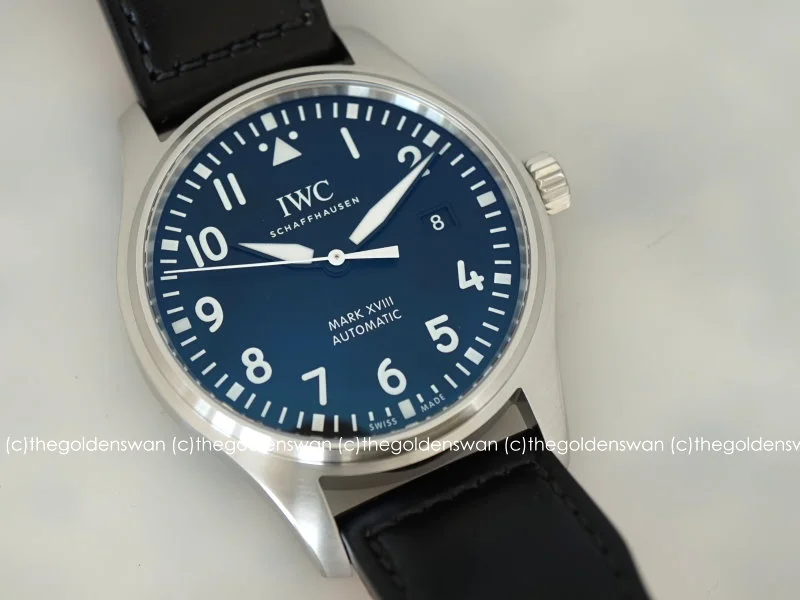 01072018IWCMark18f.jpg