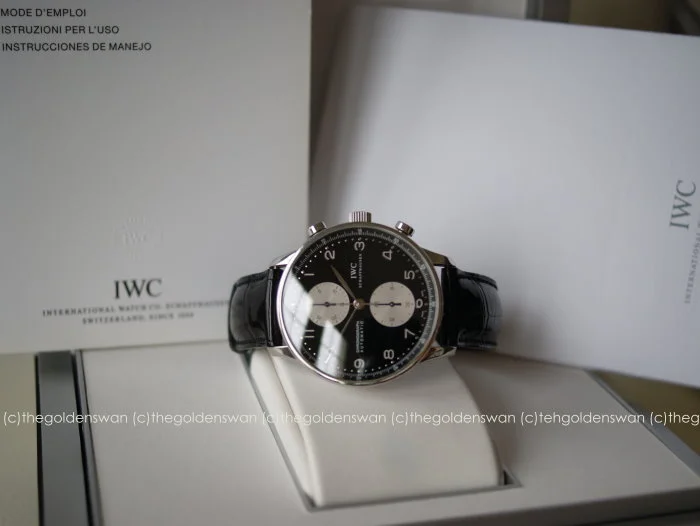 04302015IWC3714Pandai.jpg
