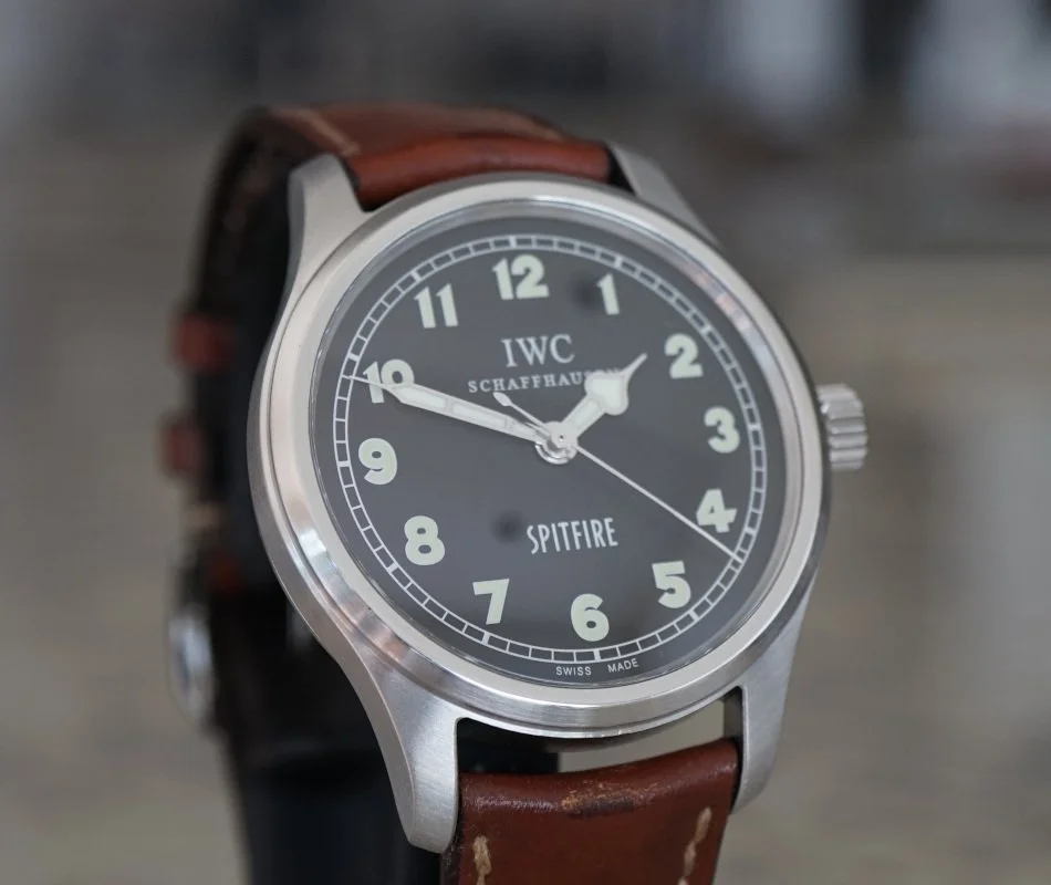 081726IWCSpitBrtb.JPG