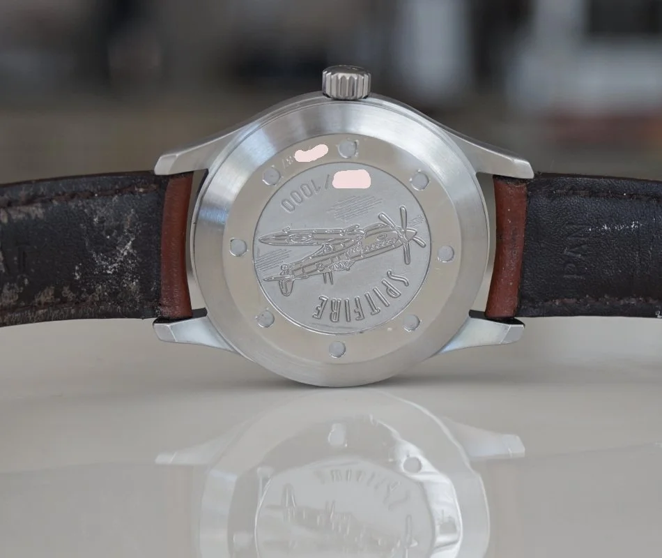 081726IWCSpitBrtg.JPG