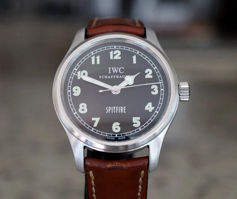 081726IWCSpitBrti.JPG