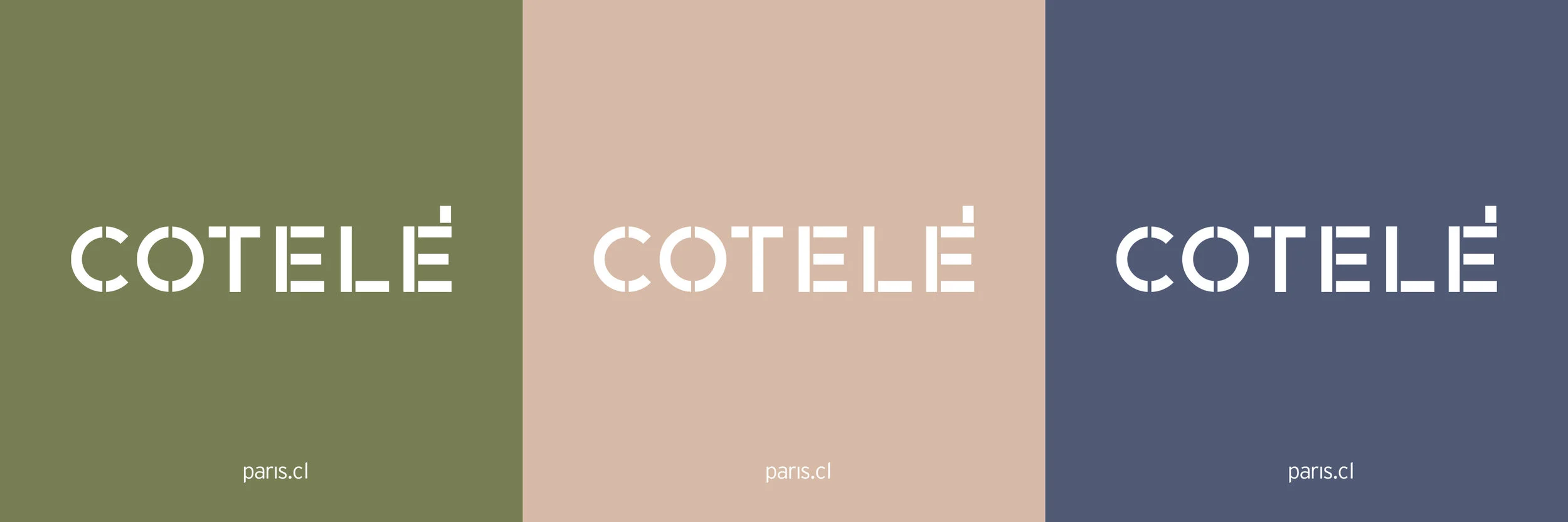paleta.jpg