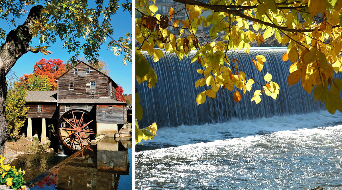 Fall Homecoming in the Smokies