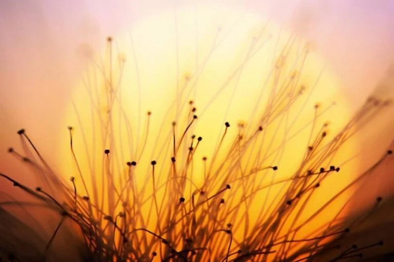 Clean Pain vs Dirty Pain: Understanding the Difference Between Pain and Suffering