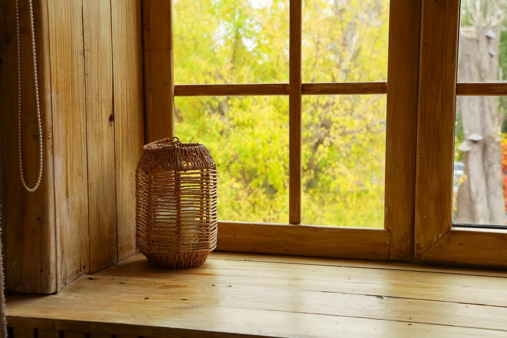 The Power of Paying Attention