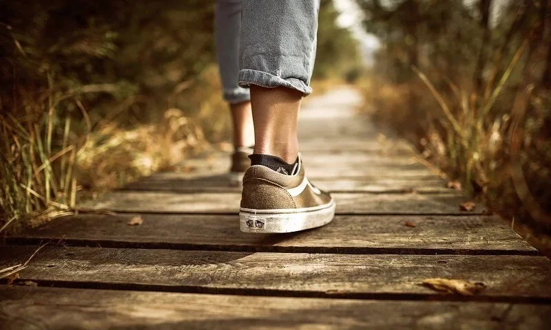 Resilience in a Changing World: A Somatic Approach