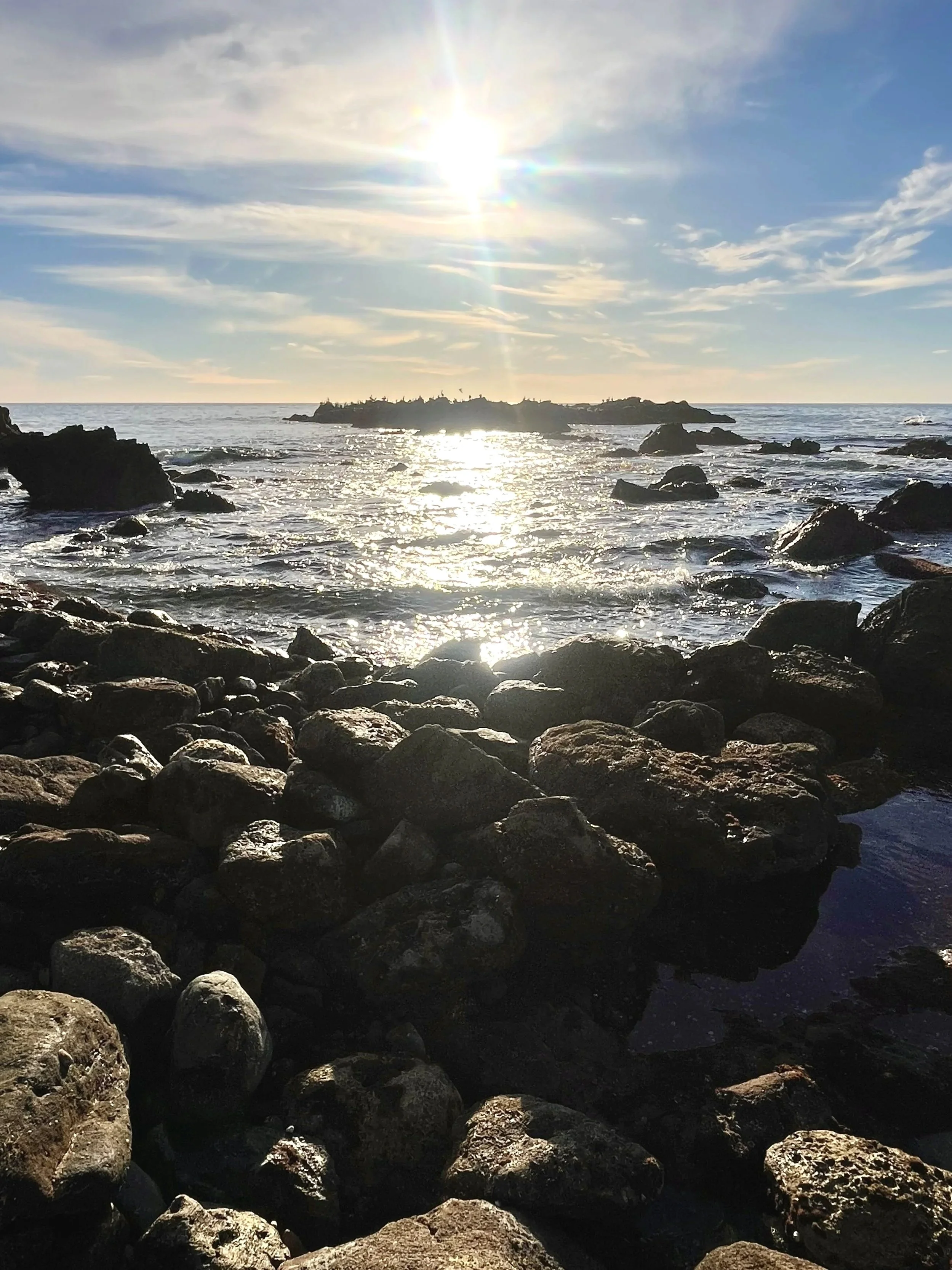 Reef Island of Christmas Tree Cove, Palos Verdes