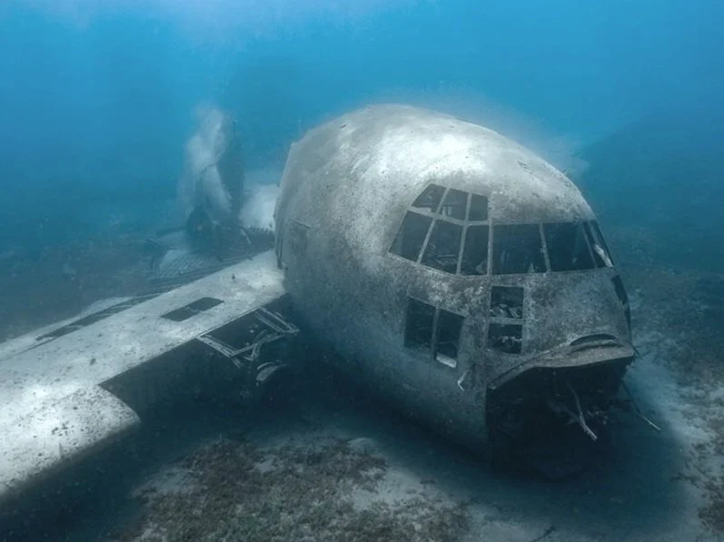Scuba Diving Sunken Plane by Catherine Anne