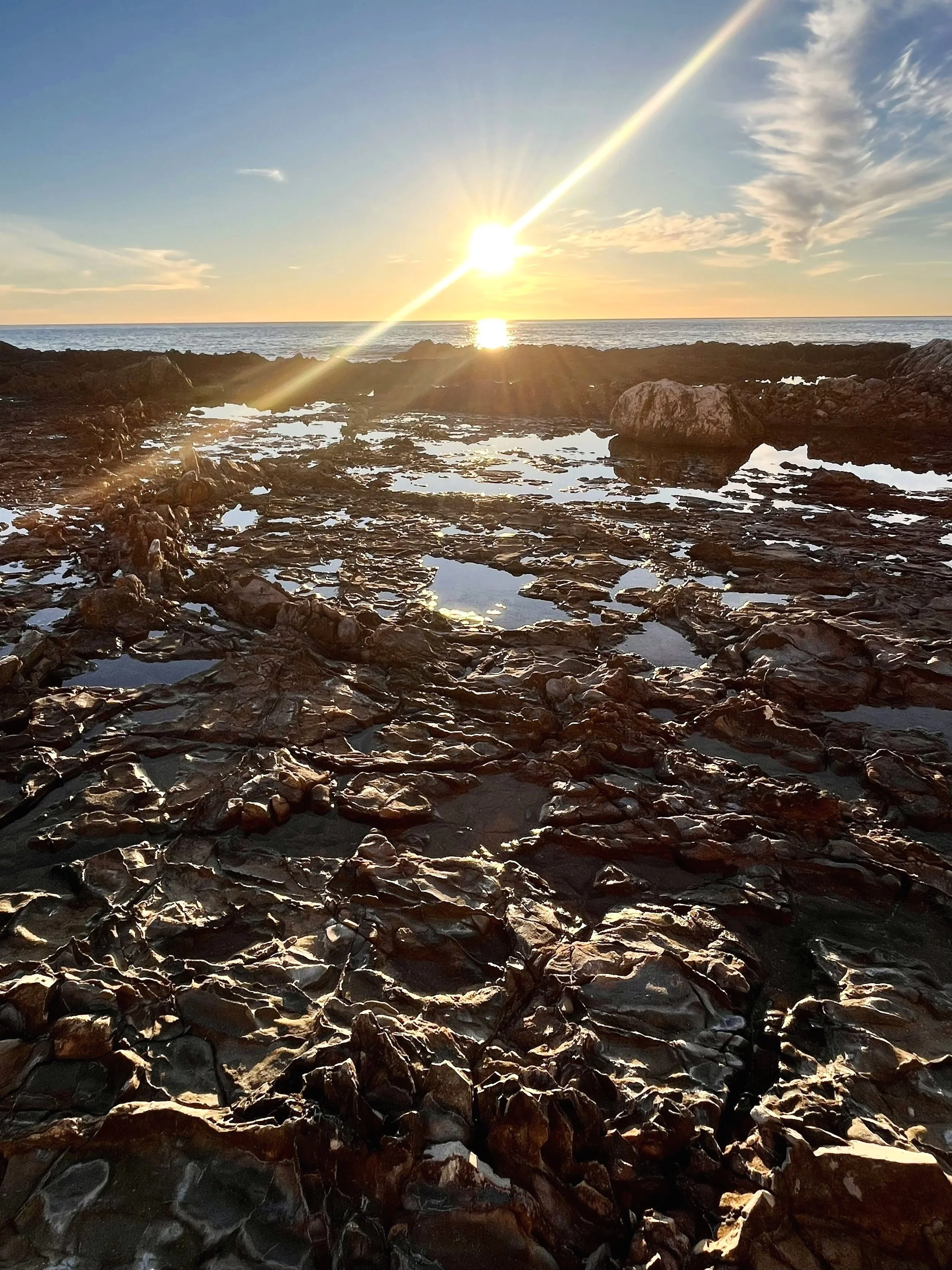 Palos Verdes tide pools of Christmas Tree Cove