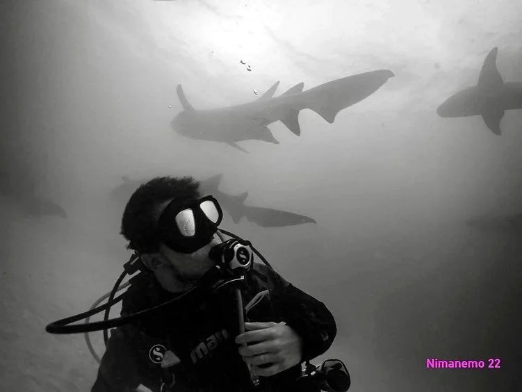 Scuba Diving with sharks in Maldives