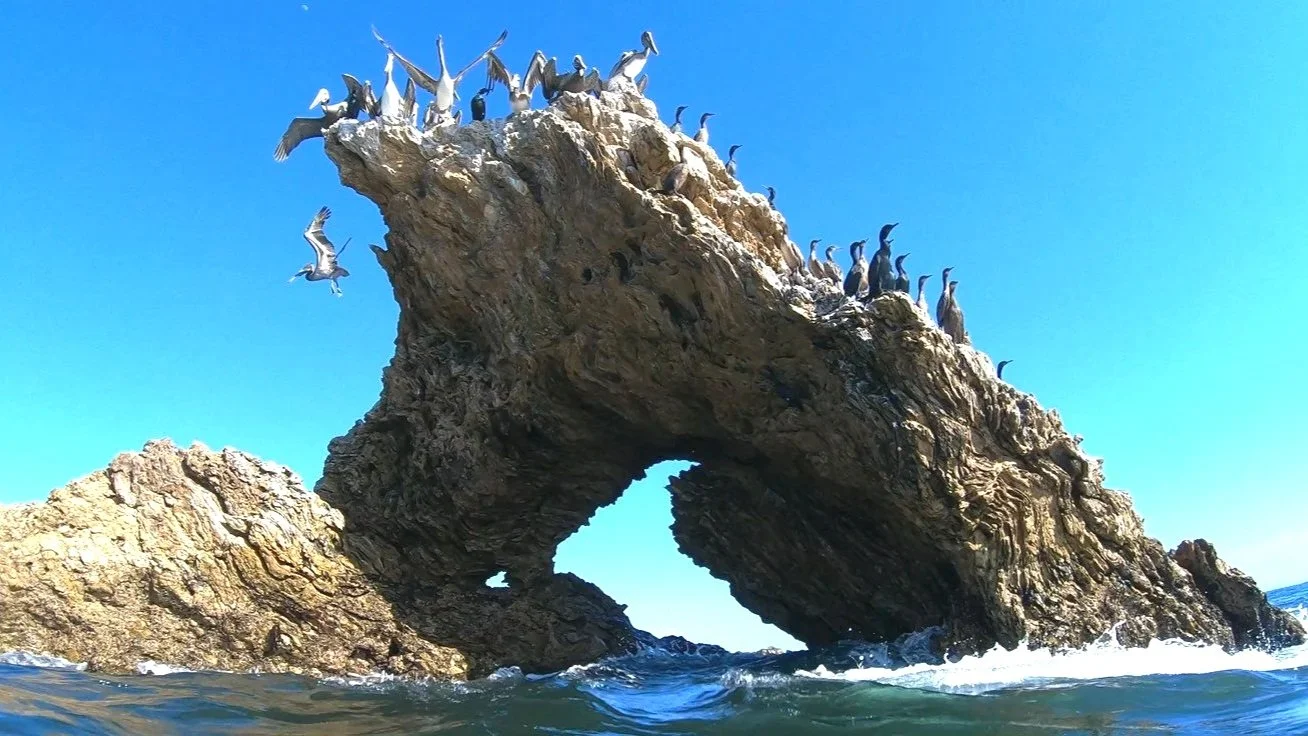 Newport Beach, California Arch Rock