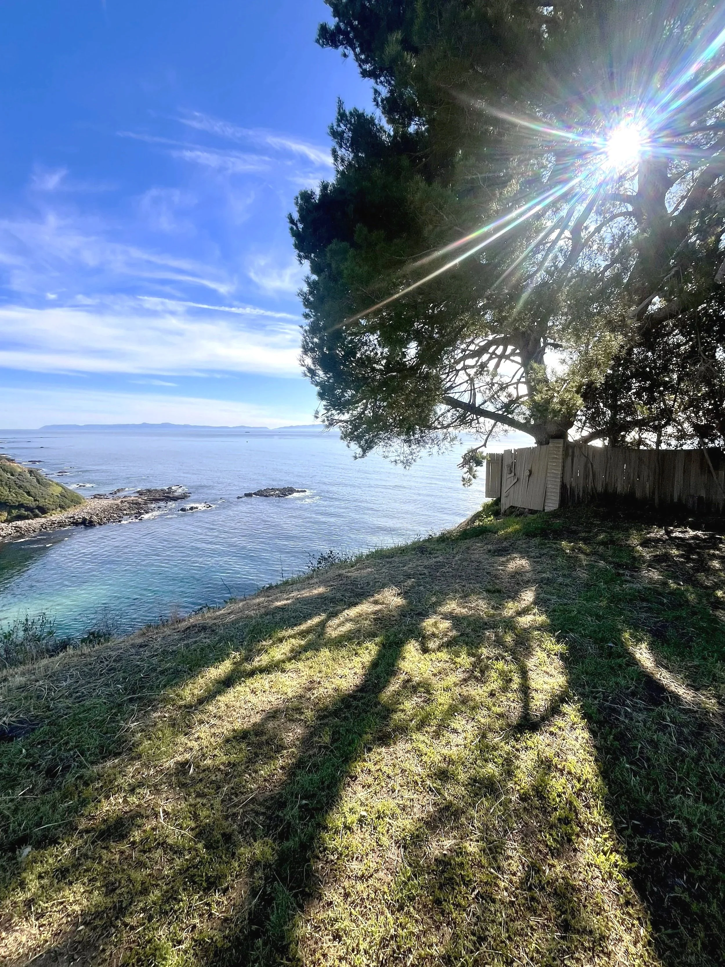 Top of Christmas Tree Cove, Palos Verdes Estates, California
