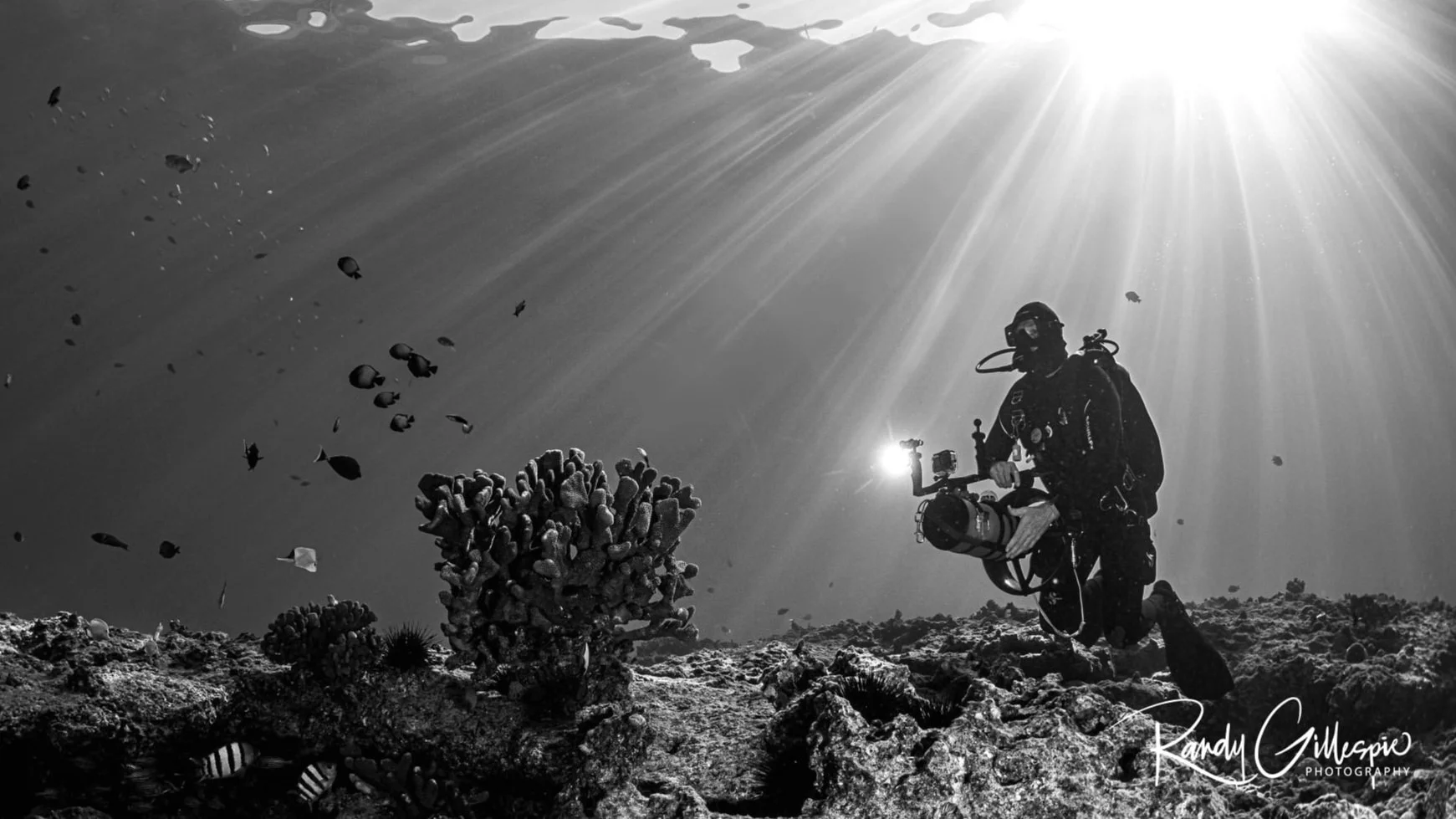 Hawaii Scuba Diver and underwater photographer Rob Swisher