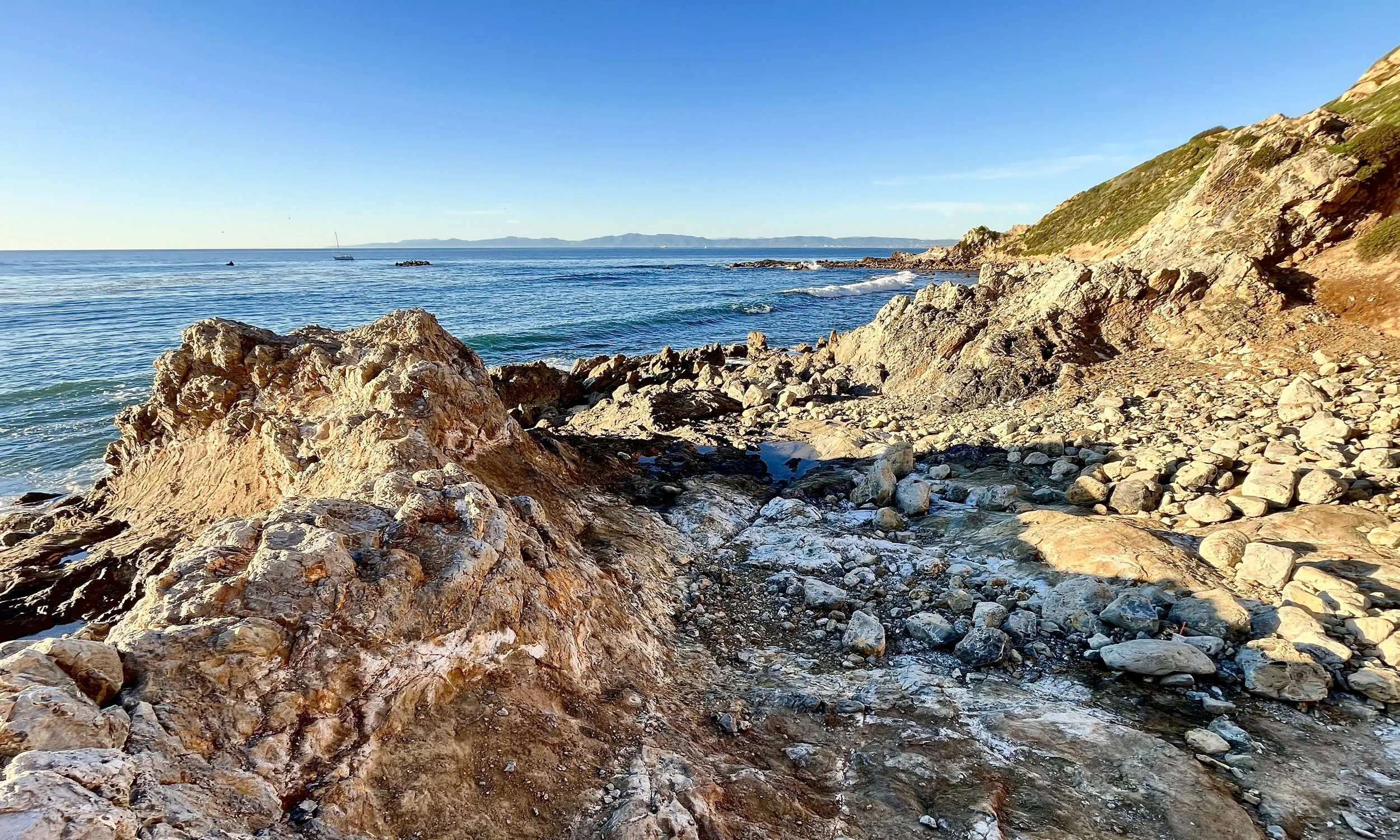 Rocky Shore Reef of Palos Verdes, California