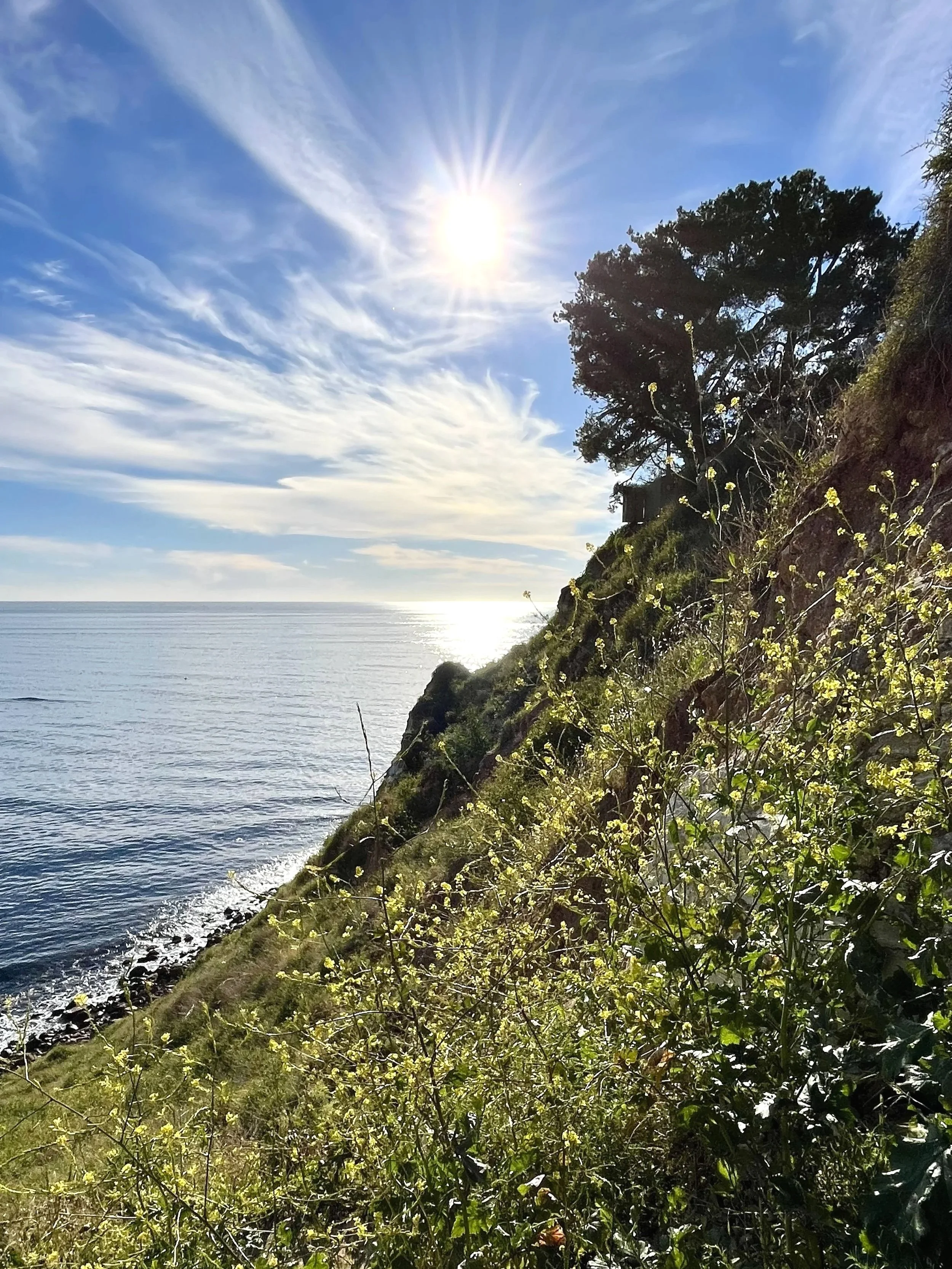 Christmas Tree Cove from the cliff, Palos Verdes Estates