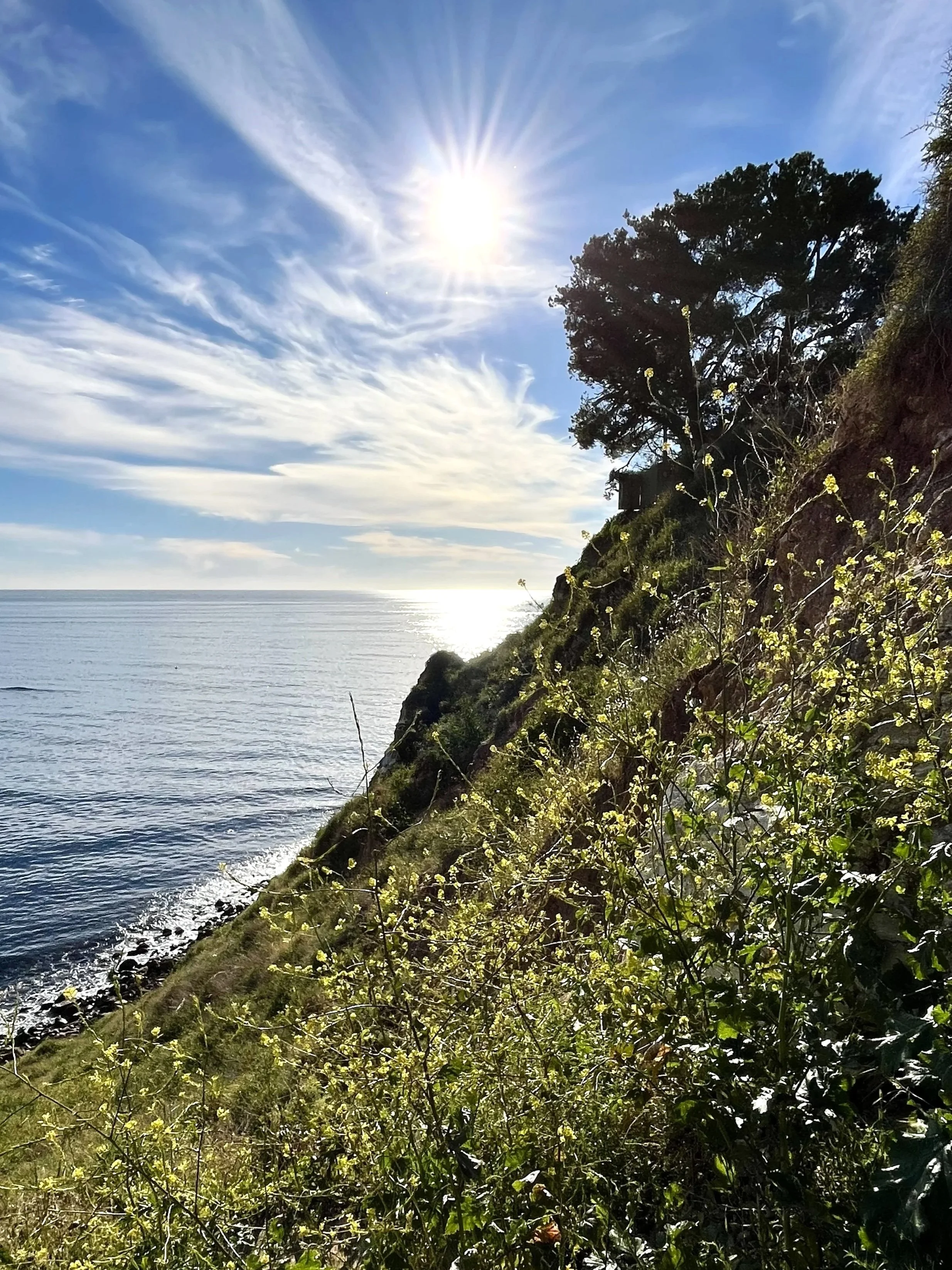 North cliff of Christmas Tree Cove, Palos Verdes