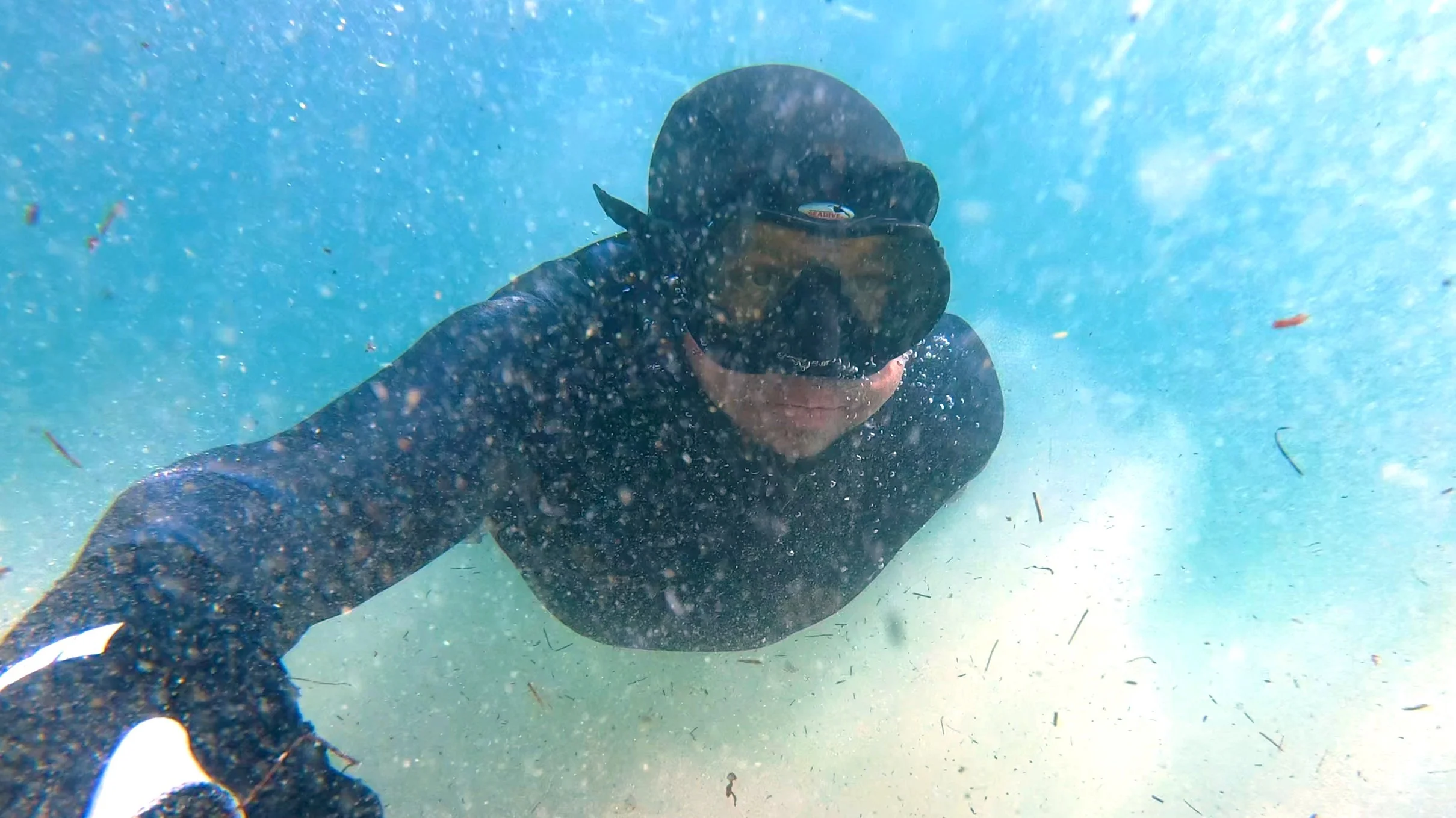 Freediving La Jolla Shores, California