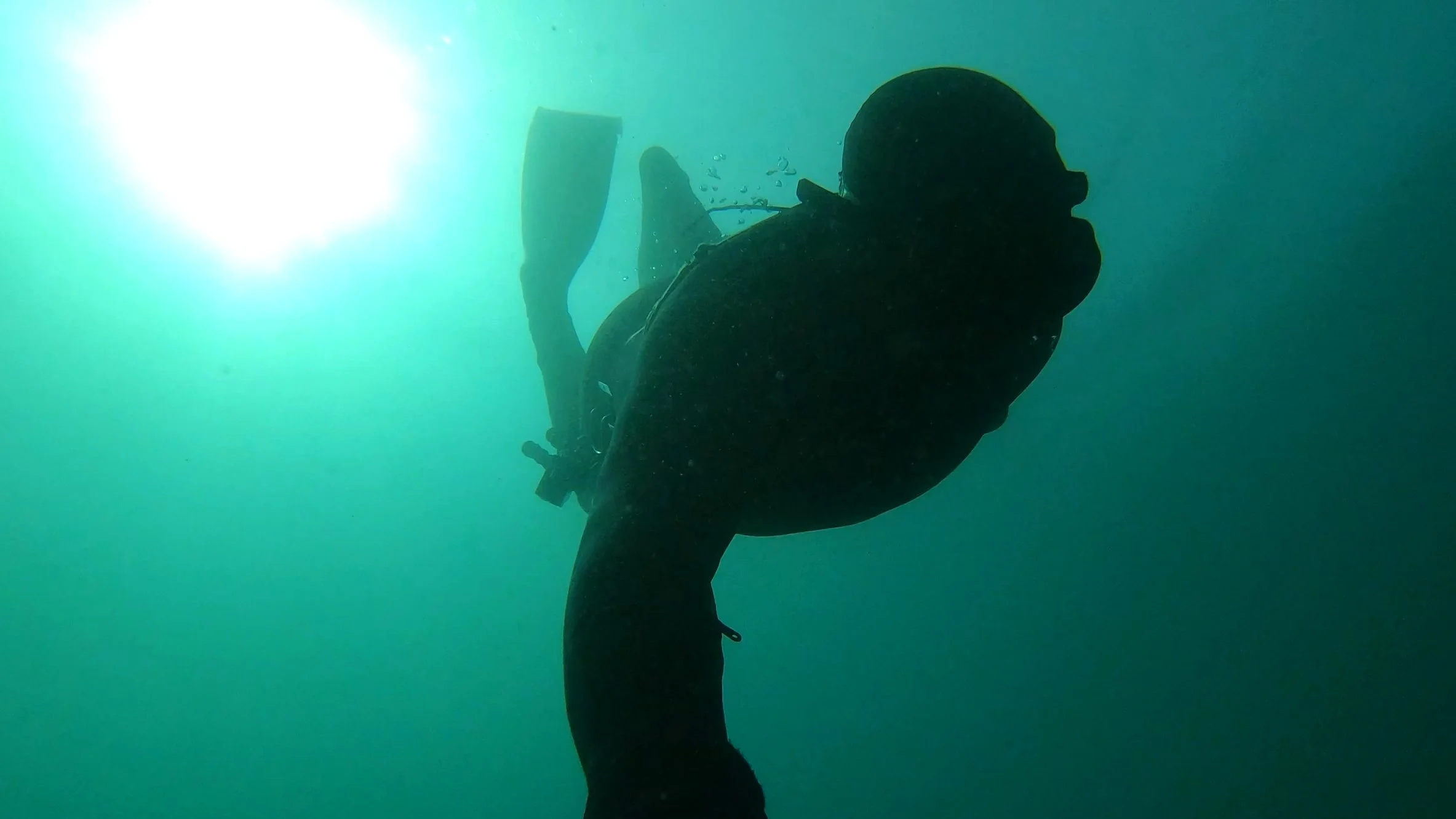 Freediving Redondo Beach, California murky