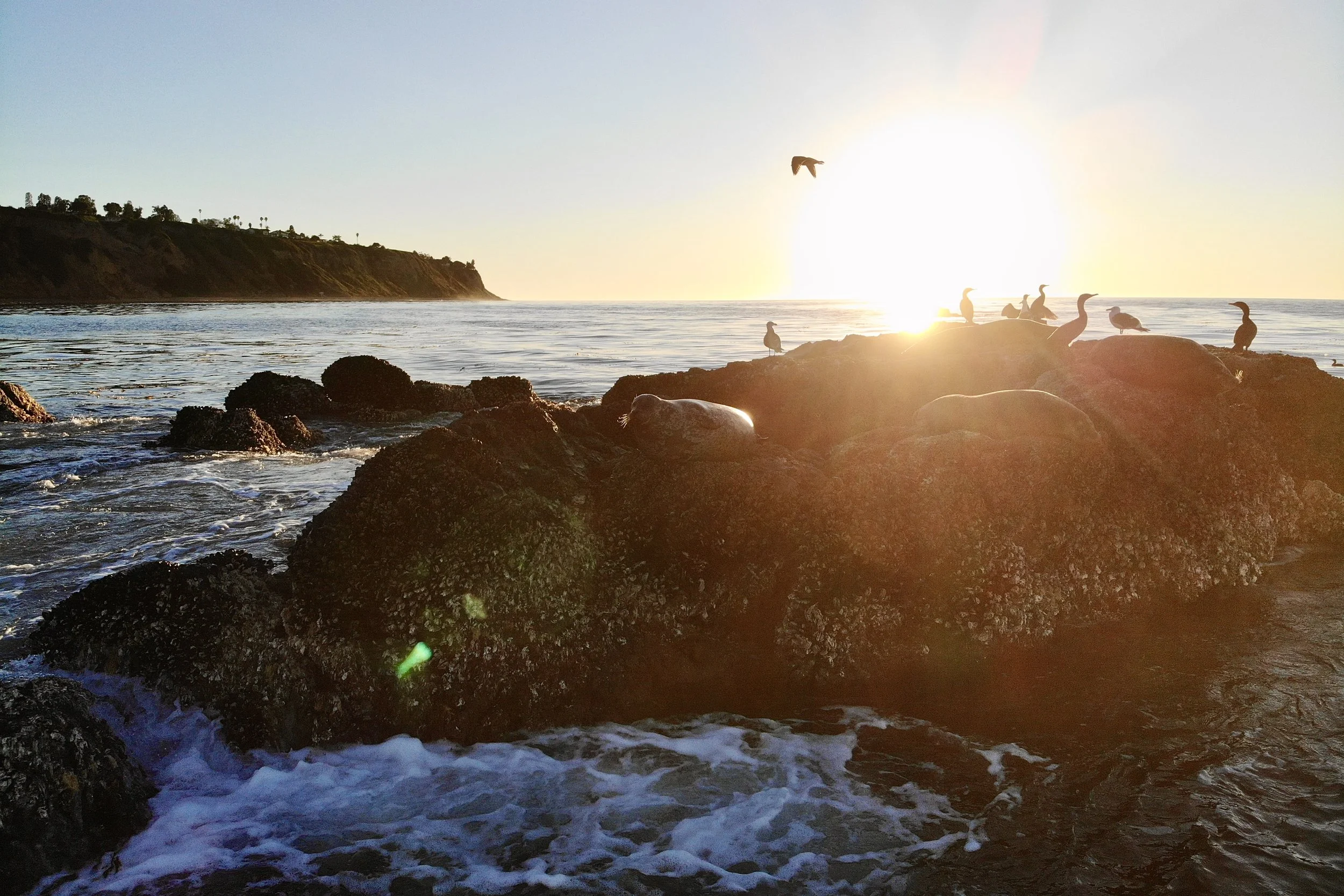 Flat Rock Sunset, Palos Verdes, California
