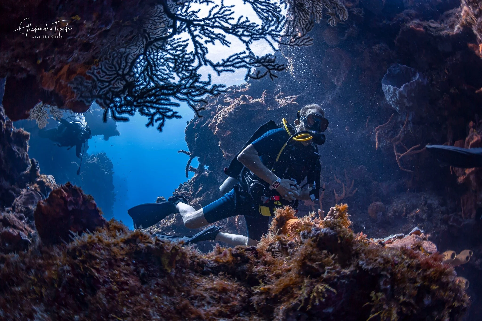 Scuba diving coral gardens of Cozumel, Mexico