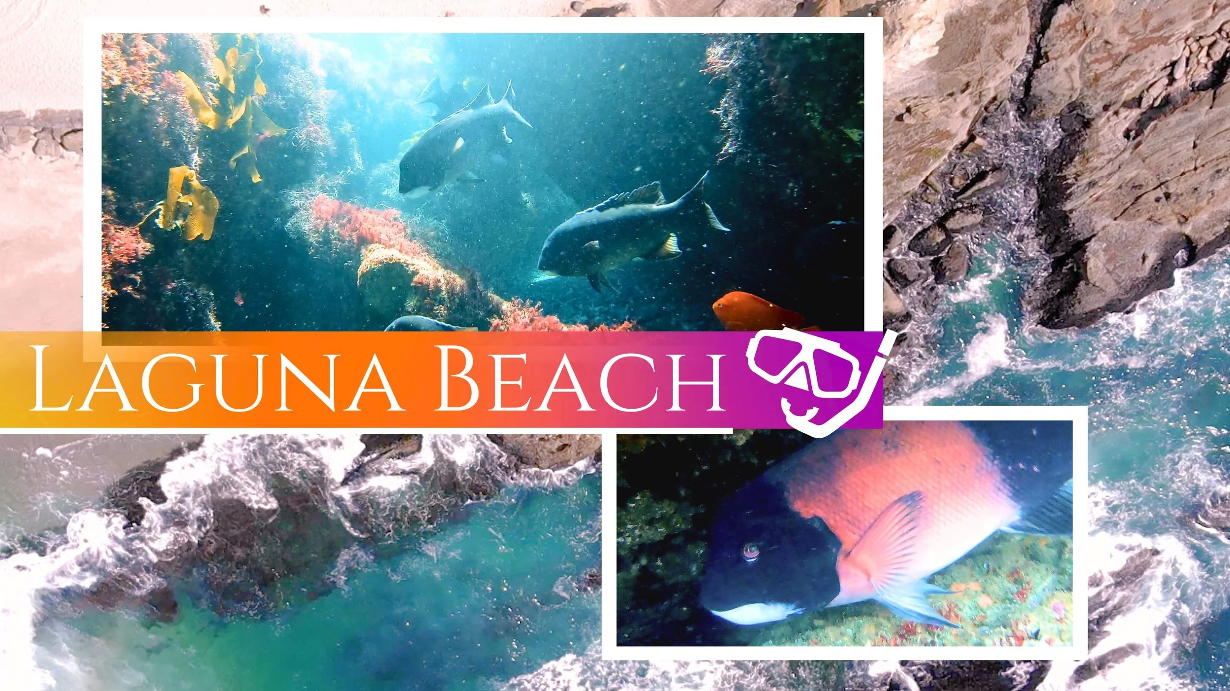 Laguna Beach Diving Adventures