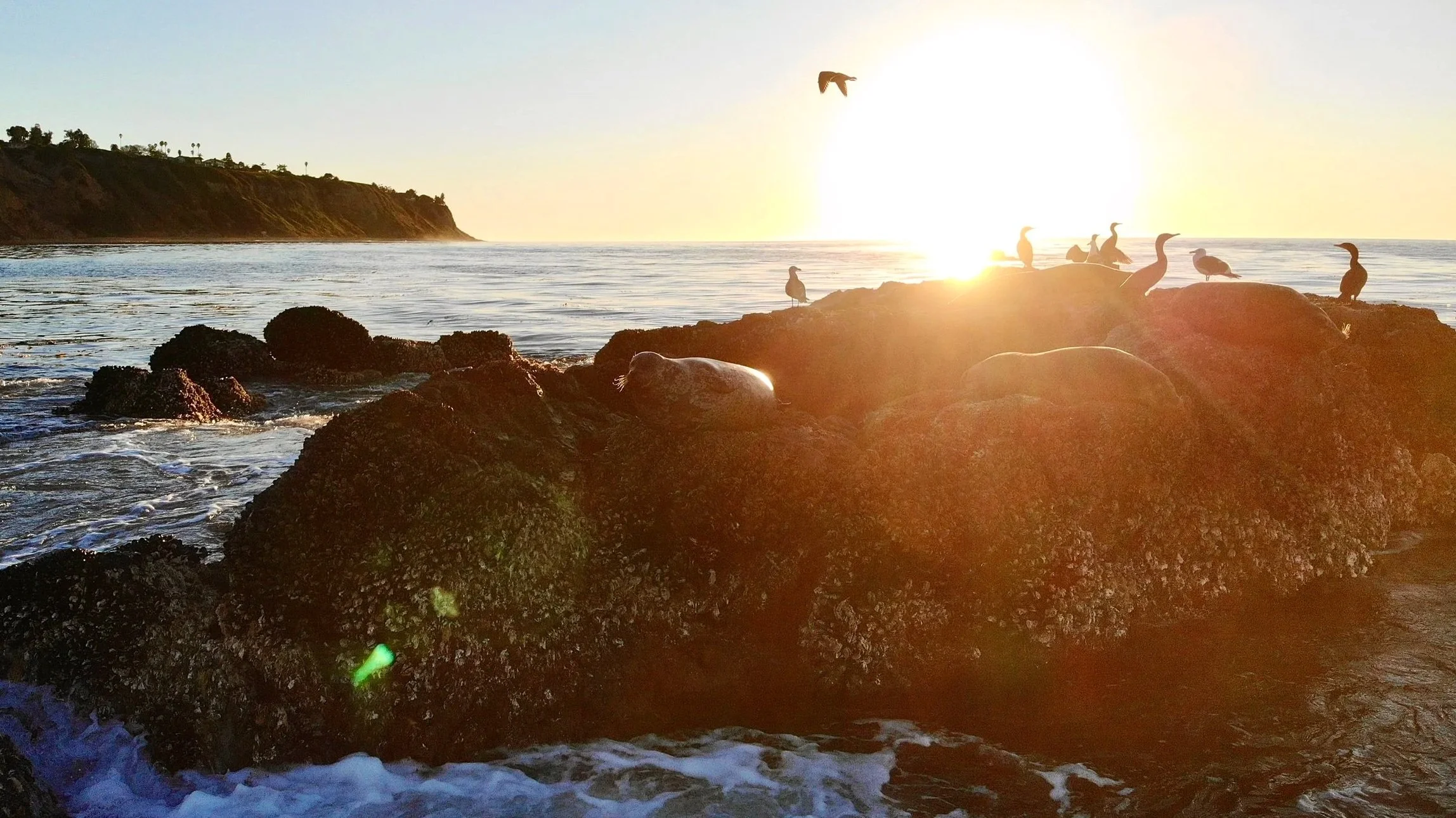 Palos Verdes, California. Flat Rock Sunset