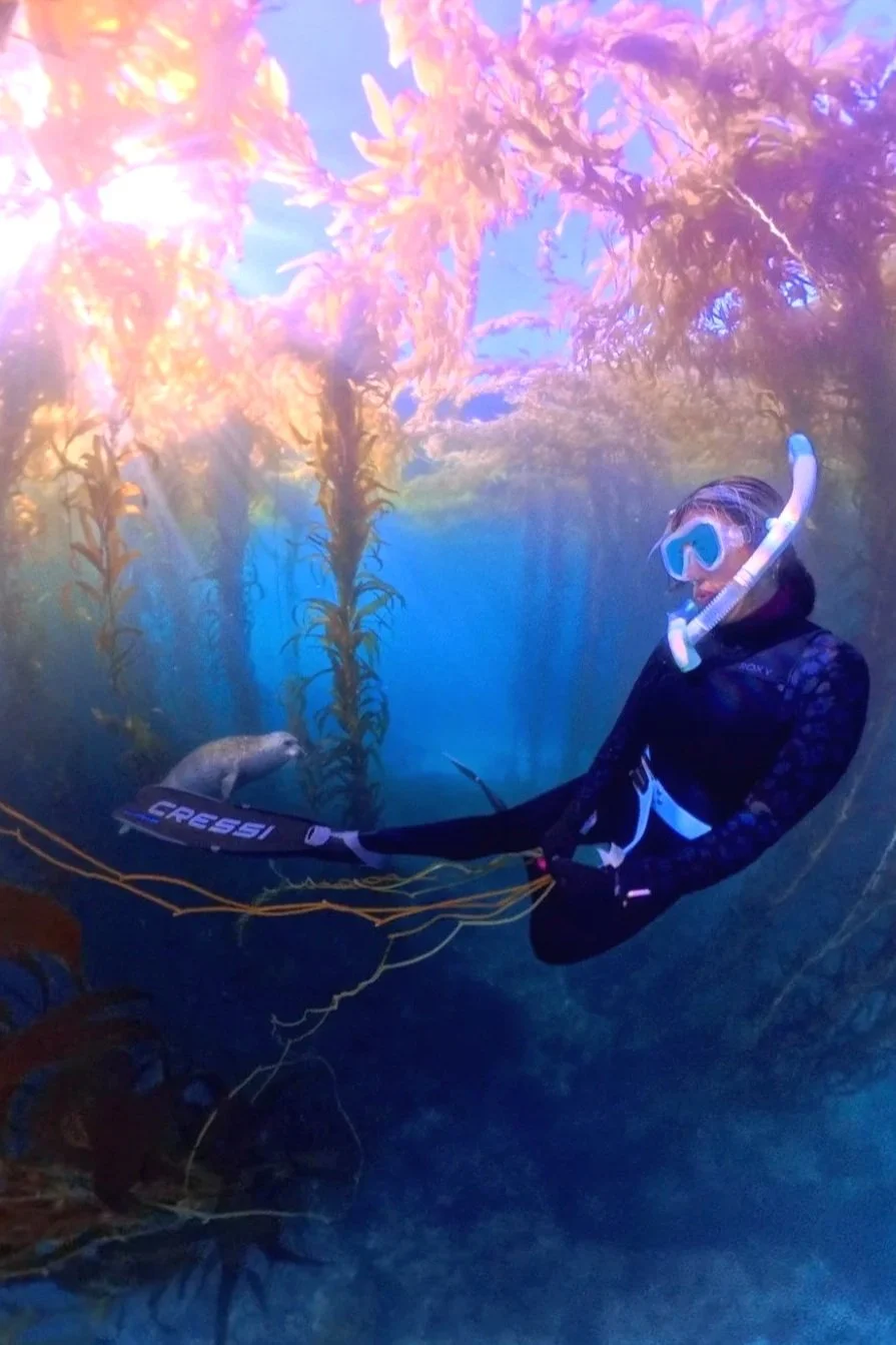 Ana Carolina freediving Laguna Beach kelp forest