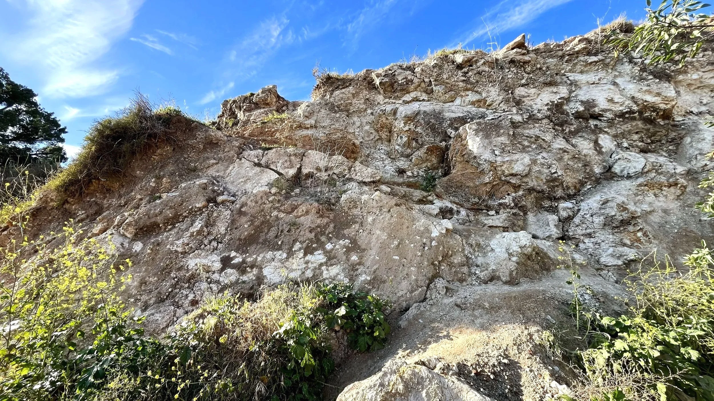 Cliffs of Palos Verdes, California