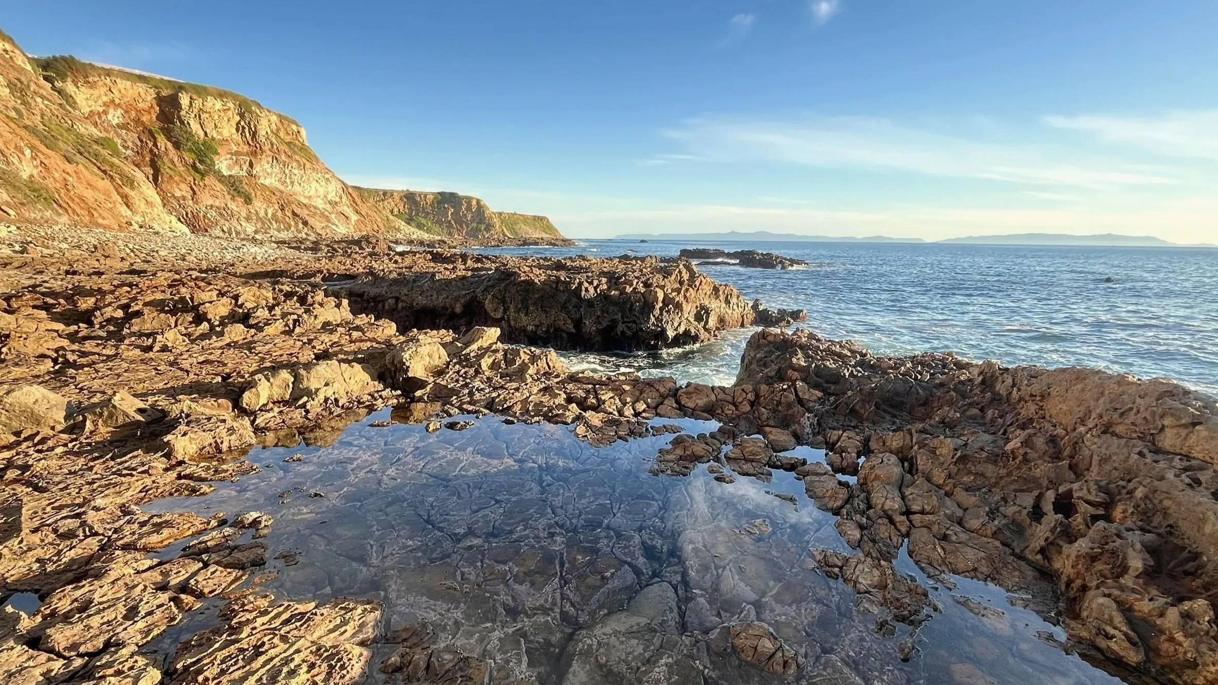 Tide Pools of Palos Verdes Peninsula, California