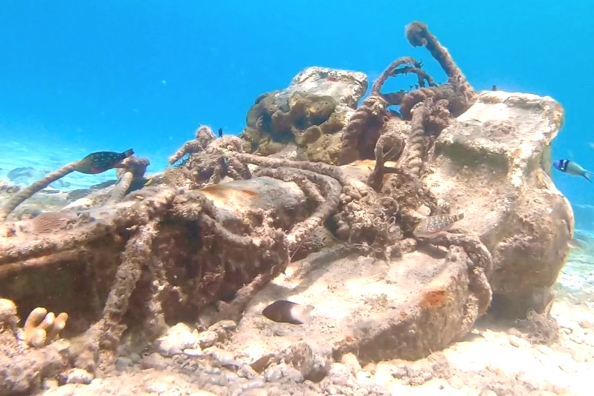 Isla Cozumel Mexico anchor in harbor